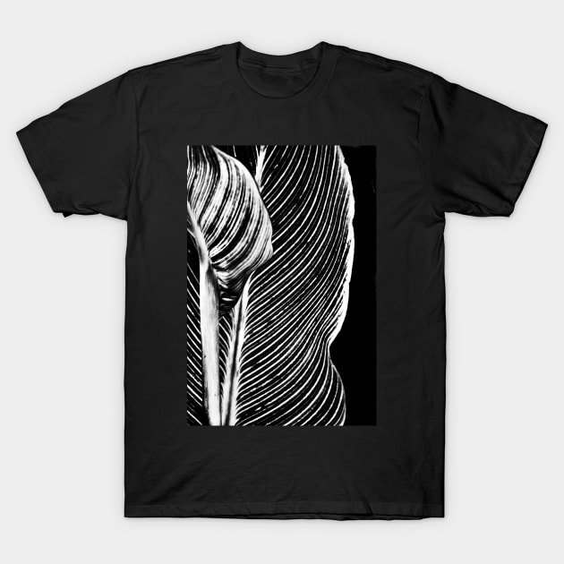 Leaf Design T-Shirt by LaurieMinor